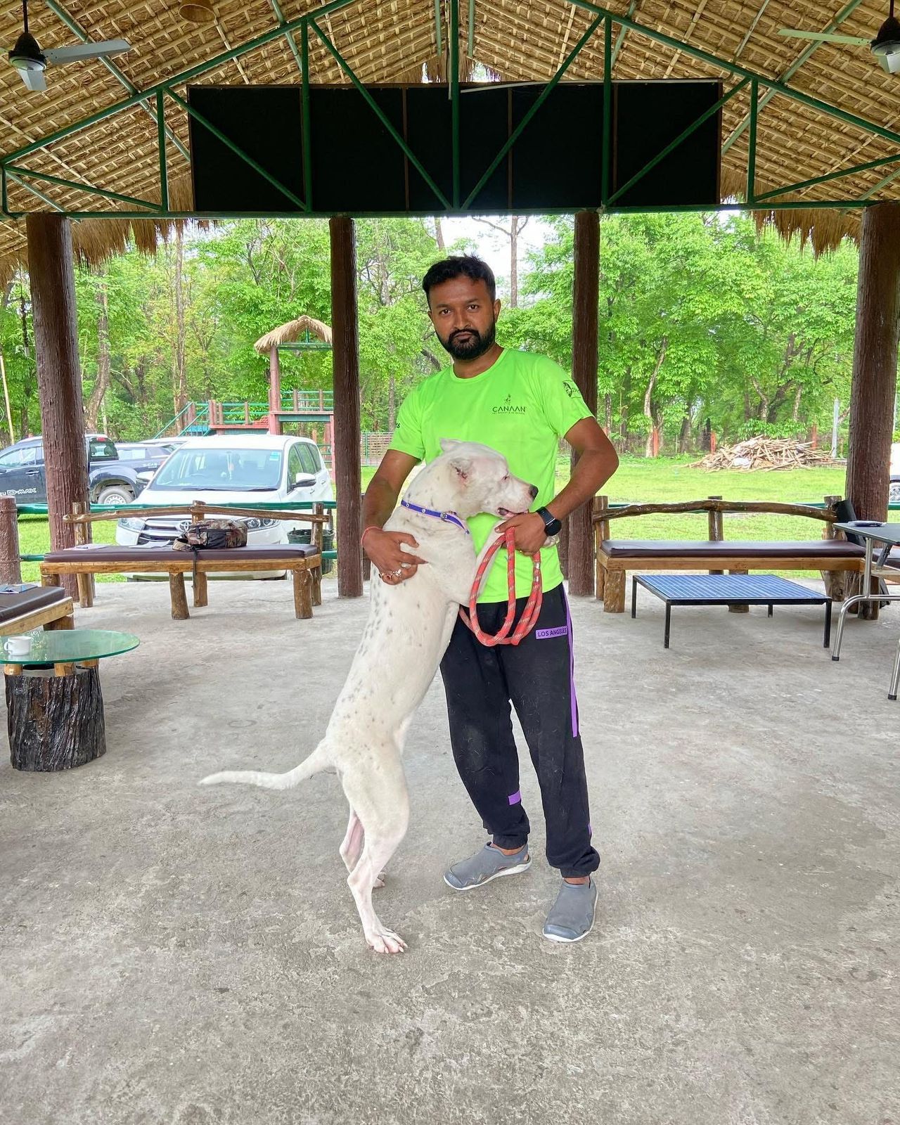 Vijay Roy working with a dog under the pavilion at DogNest
